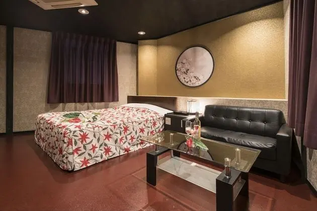 Standard Tek Büyük Yataklı Oda, Sigara İçilebilir (Love Hotel)