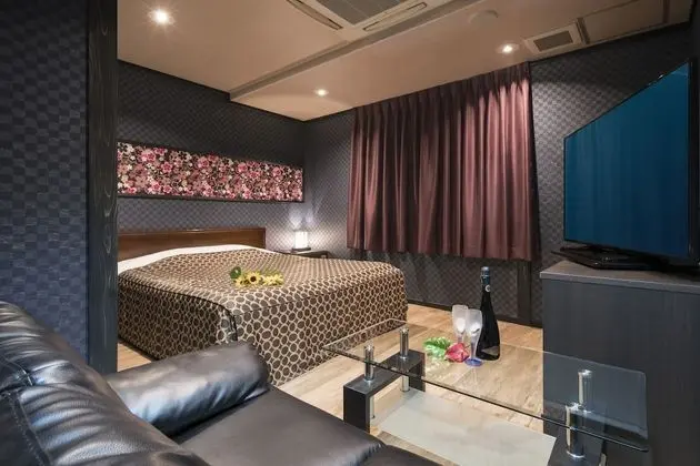 Standard Tek Büyük Yataklı Oda, Sigara İçilebilir (Love Hotel)