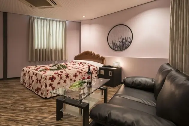 Standard Tek Büyük Yataklı Oda, Sigara İçilebilir (Love Hotel)