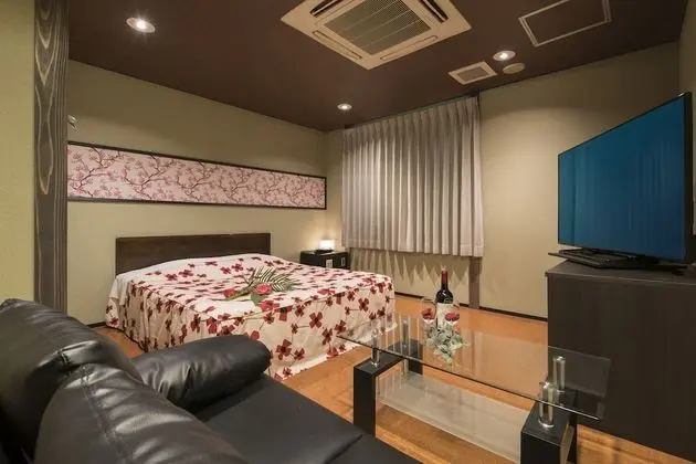 Standard Tek Büyük Yataklı Oda, Sigara İçilebilir (Love Hotel)