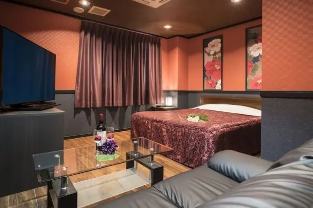 Standard Tek Büyük Yataklı Oda, Sigara İçilebilir (Love Hotel)