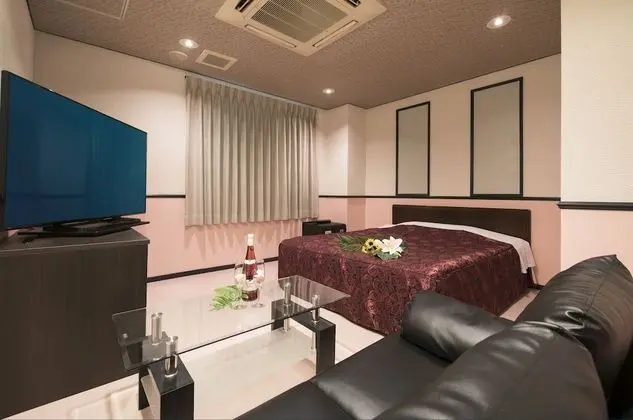 Standard Tek Büyük Yataklı Oda, Sigara İçilebilir (Love Hotel)