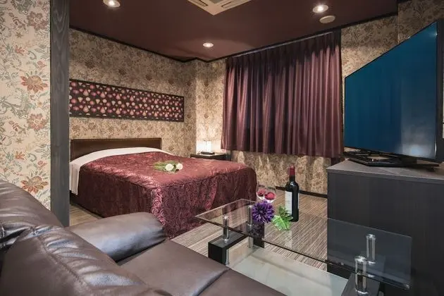 Standard Tek Büyük Yataklı Oda, Sigara İçilebilir (Love Hotel)