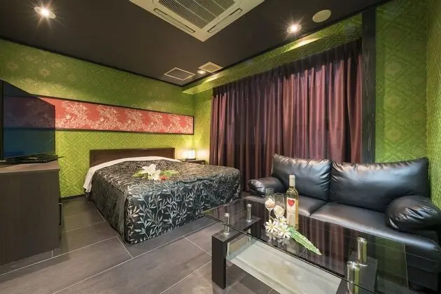 Standard Tek Büyük Yataklı Oda, Sigara İçilebilir (Love Hotel)
