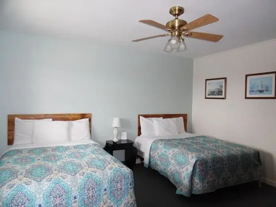 Standard Tek Büyük Yataklı Oda, 2 Çift Kişilik Yatak, Sigara İçilmez (Not Pet friendly)