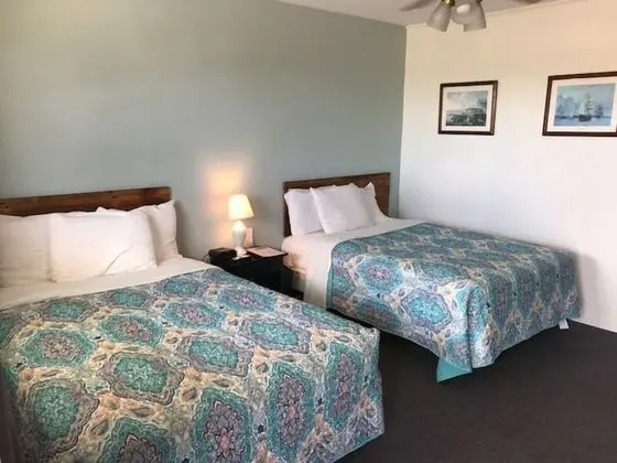 Standard Tek Büyük Yataklı Oda, 2 Çift Kişilik Yatak, Sigara İçilmez (Not Pet friendly)