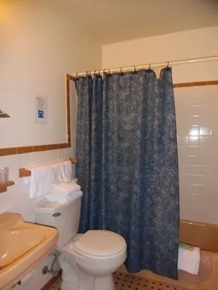 Standard Tek Büyük Yataklı Oda, 2 Çift Kişilik Yatak, Sigara İçilmez (Not Pet friendly)