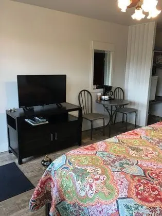 Standard Tek Kişilik Oda, 1 En Büyük (King) Boy Yatak, Sigara İçilmez (21 Pet Friendly)