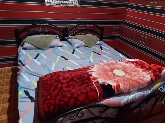Basic Çadır, 1 Yatak Odası