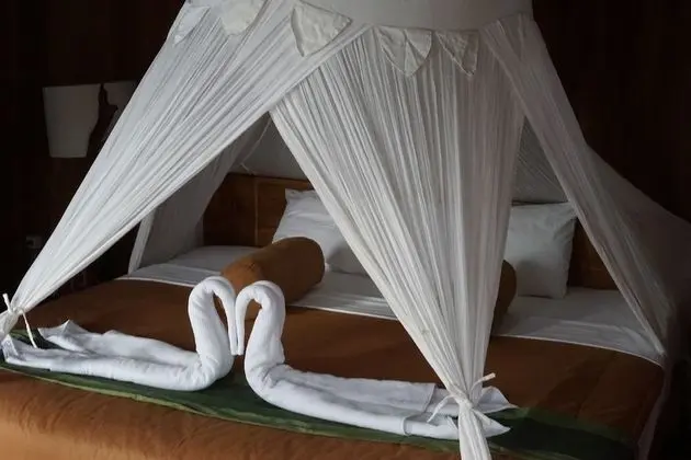 Premium Bungalov, Okyanus Manzaralı