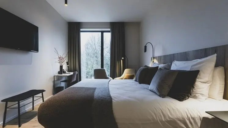 Deluxe Tek Büyük Yataklı Oda, 1 En Büyük (King) Boy Yatak (Azobe)