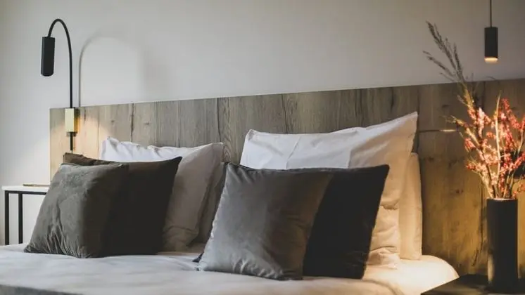 Deluxe Tek Büyük Yataklı Oda, 1 En Büyük (King) Boy Yatak (Azobe)