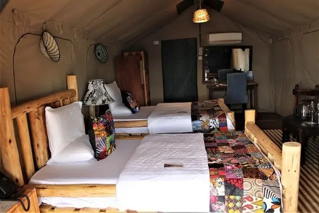 Luxury Çadır, 1 En Büyük (King) Boy Yatak