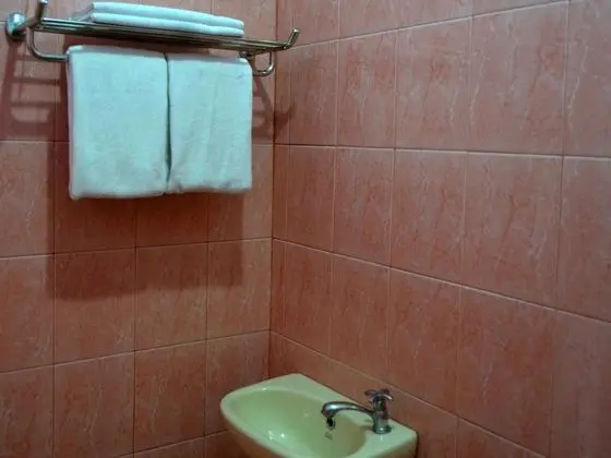 Deluxe Tek Kişilik Oda, 1 Yatak Odası, Bahçe Manzaralı
