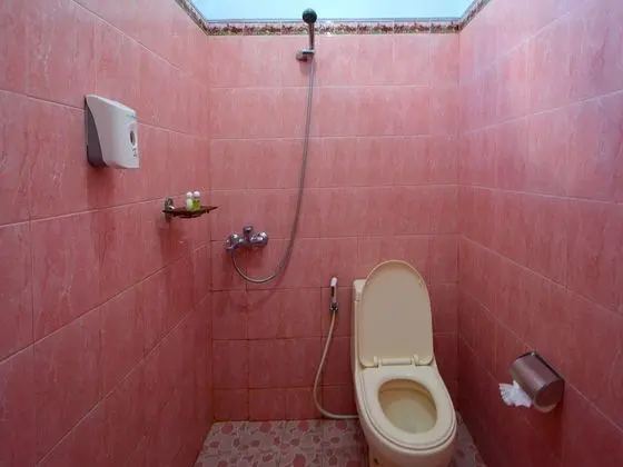 Deluxe Tek Kişilik Oda, 1 Yatak Odası, Bahçe Manzaralı