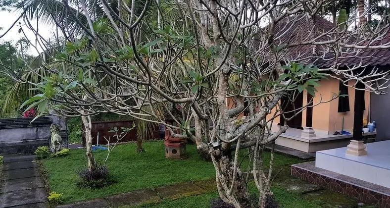Superior Tek Büyük Yataklı Oda, 2 Yatak Odası, Bahçe Manzaralı