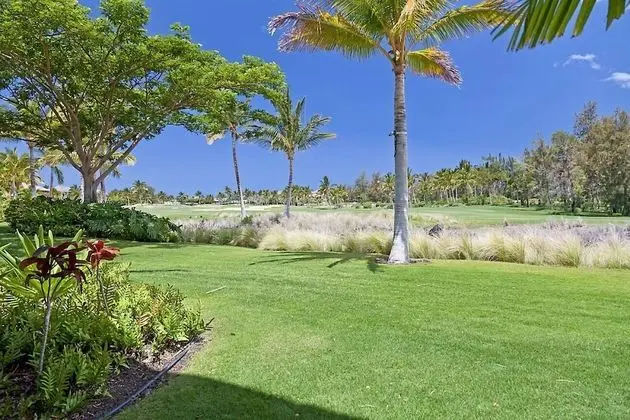 Daire, 1 En Büyük (King) Boy Yatak (Waikoloa Beach Villas O2)