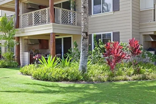 Daire, 1 En Büyük (King) Boy Yatak (Waikoloa Beach Villas O2)