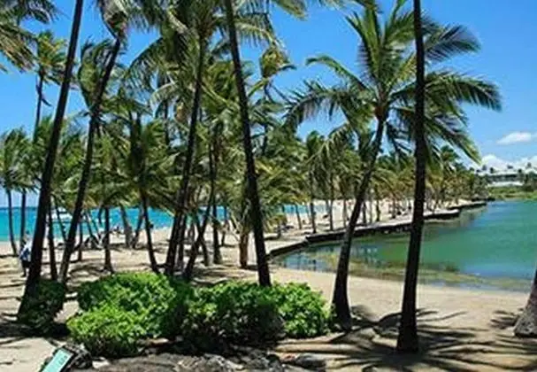 Villa, Birden Çok Yatak (Waikoloa Beach Villas P32)