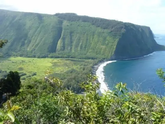 Daire, Birden Çok Yatak (Wai'ula'ula D201)