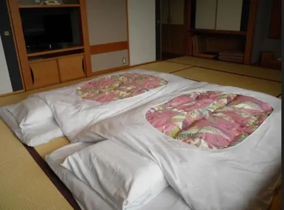 Traditional Oda, Sigara İçilmez (Japanese-Style Room with JP meals)