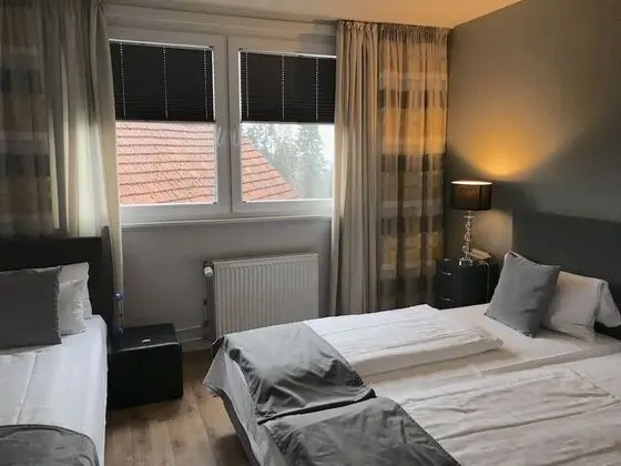 Tek Büyük Yataklı Oda, Özel Banyo (Extra bed)