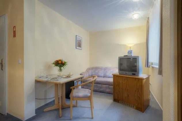 Comfort Tek Kişilik Oda (Forest View)