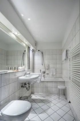 Comfort Tek Kişilik Oda (Forest View)