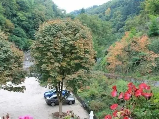 Superior Tek Büyük Yataklı Oda, Banyolu/Duşlu (3+14)