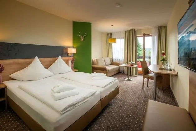 Superior Tek Büyük Yataklı Oda