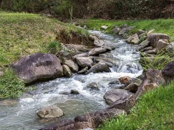 Kulübe, Birden Çok Yatak, Kişiye Özel Havuzlu, Dağ Manzaralı