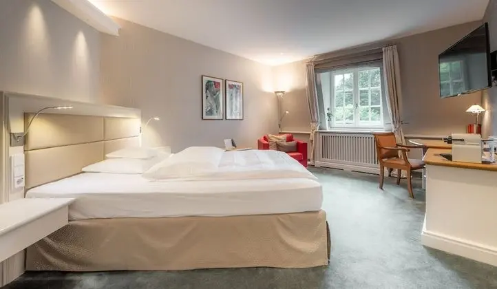 Premium Tek Kişilik Oda, 1 Çift Kişilik Yatak