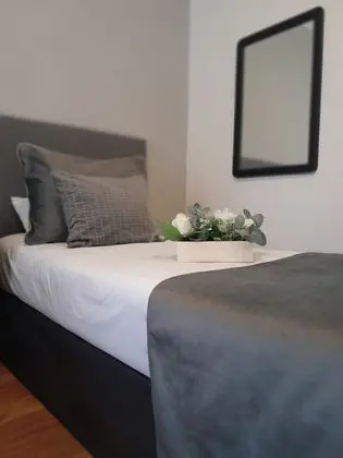 Standard Tek Büyük Yataklı Oda, 2 Tek Kişilik Yatak