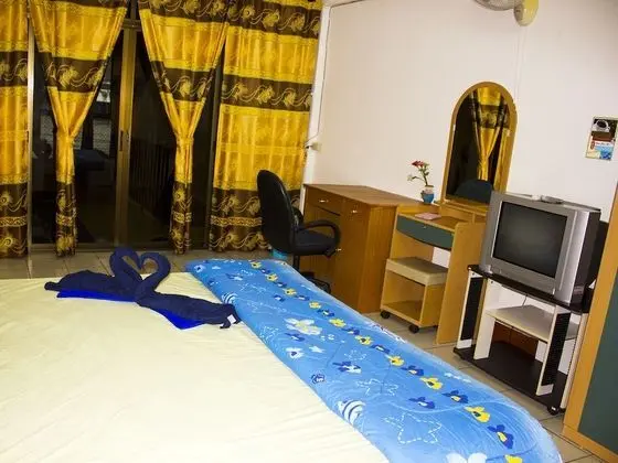 Deluxe Tek Büyük Yataklı Oda (Air-Condition)