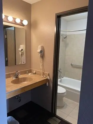 1 King Bed, Executive Suite, NO PETS, Non-Smoking