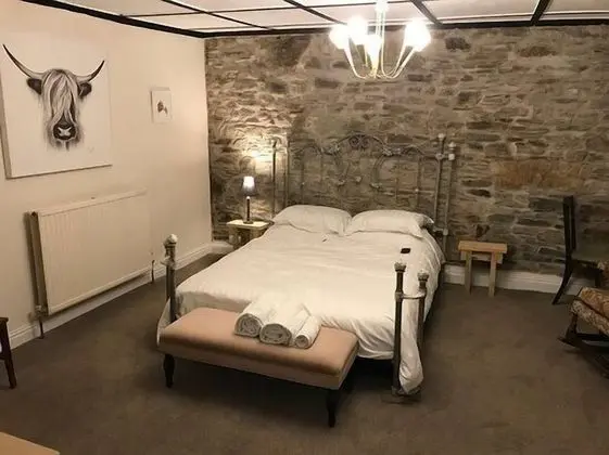 Tek Büyük Yataklı Oda, Banyolu/Duşlu (Large Family Room)