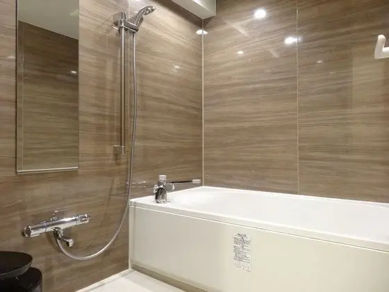 Standard Tek Büyük Yataklı Oda, Sigara İçilebilir