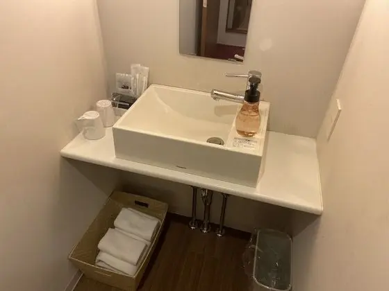 Standard Tek Büyük Yataklı Oda, Sigara İçilebilir