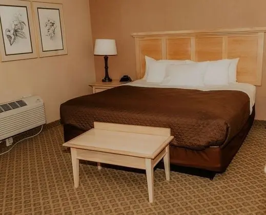 Süit (Hospitality)