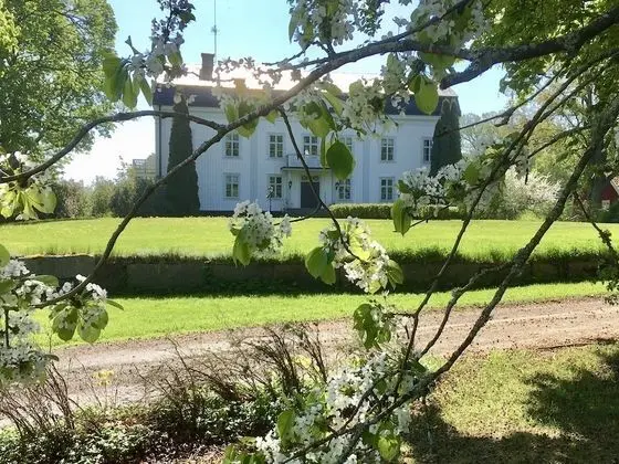 Tek Büyük Yataklı Oda (Dinner Included)