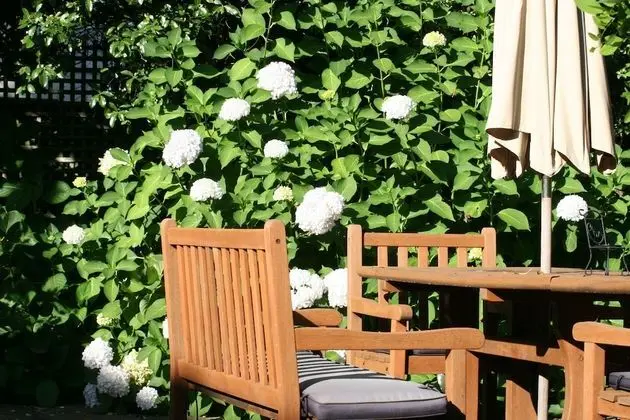 Executive Ev, 6 Yatak Odası, Engellilere Uygun, Bahçe Manzaralı