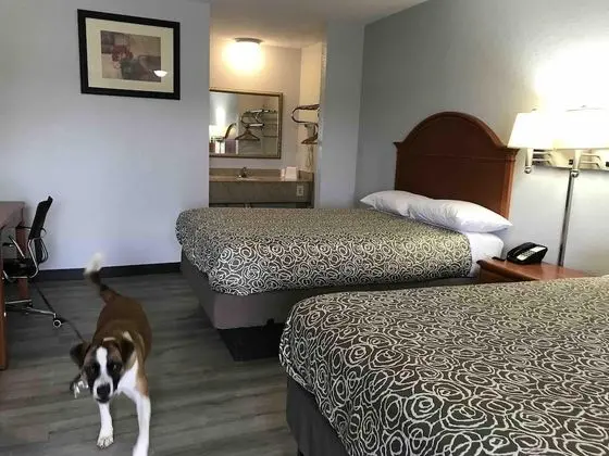 Basic Tek Büyük Yataklı Oda, 2 Çift Kişilik Yatak, Sigara İçilmez