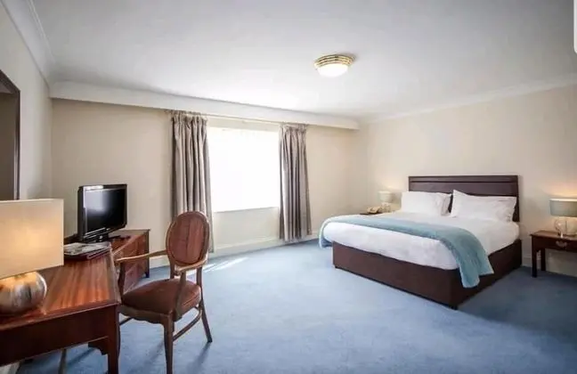 Standard Tek Büyük Yataklı Oda, 1 Çift Kişilik Yatak, Sigara İçilmez