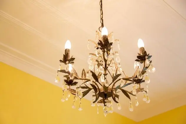 Luxury Tek Büyük Yataklı Oda, 1 Büyük (Queen) Boy Yatak, Bahçe Manzaralı