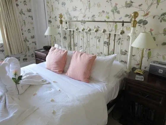 Luxury Tek Büyük Yataklı Oda, Özel Banyo (Bird Room)