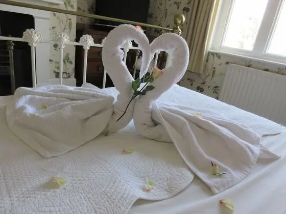 Luxury Tek Büyük Yataklı Oda, Özel Banyo (Bird Room)