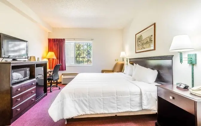 Deluxe Tek Büyük Yataklı Oda, Engellilere Uygun, Özel Banyo (Wheelchair ADA accessible)