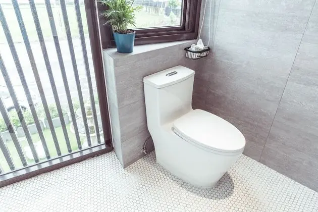 Basic Tek Büyük Yataklı Oda, 1 En Büyük (King) Boy Yatak, Banyolu/Duşlu, Şehir Manzaralı