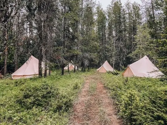 Family Tent With Shared Bathroom