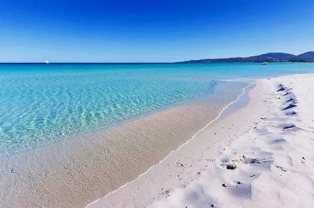 Oda, 1 Yatak Odası, Teras